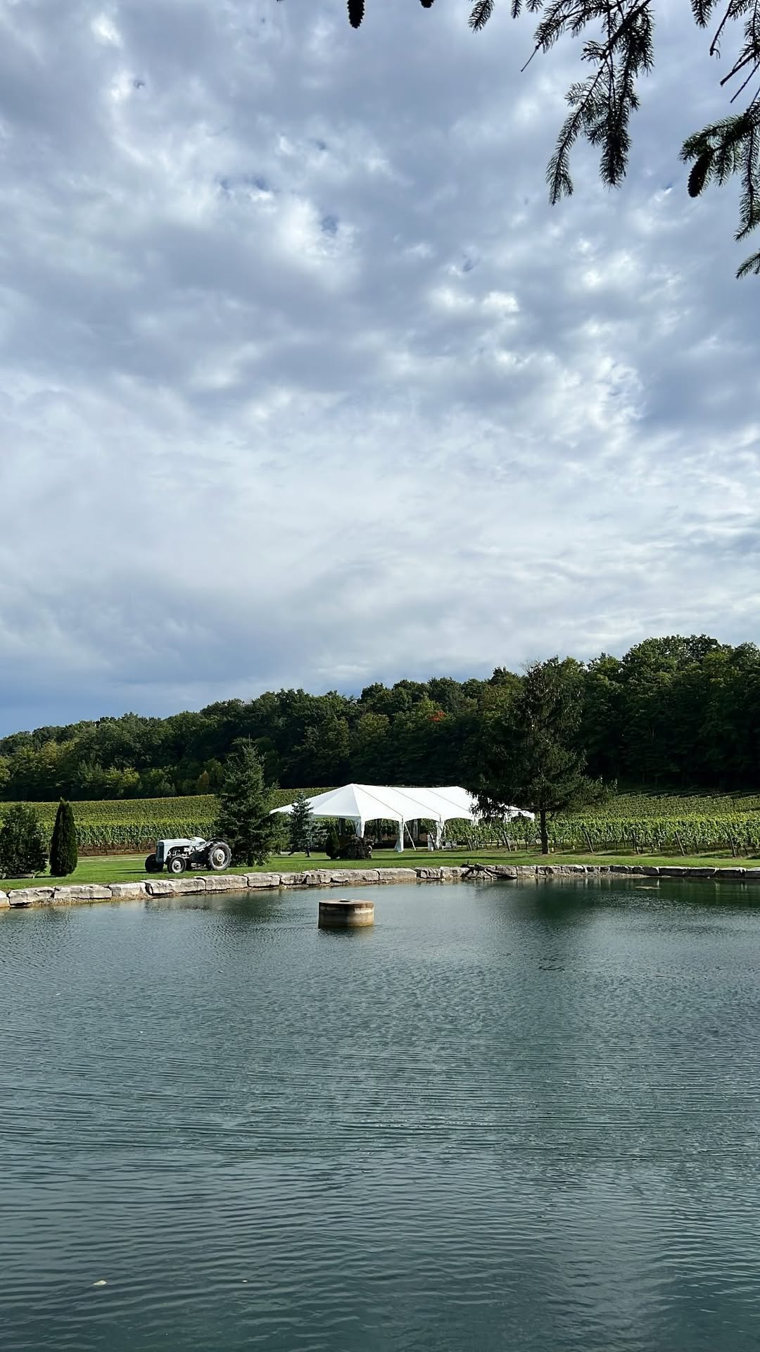 White event tent on the vineyard lawn across the pond