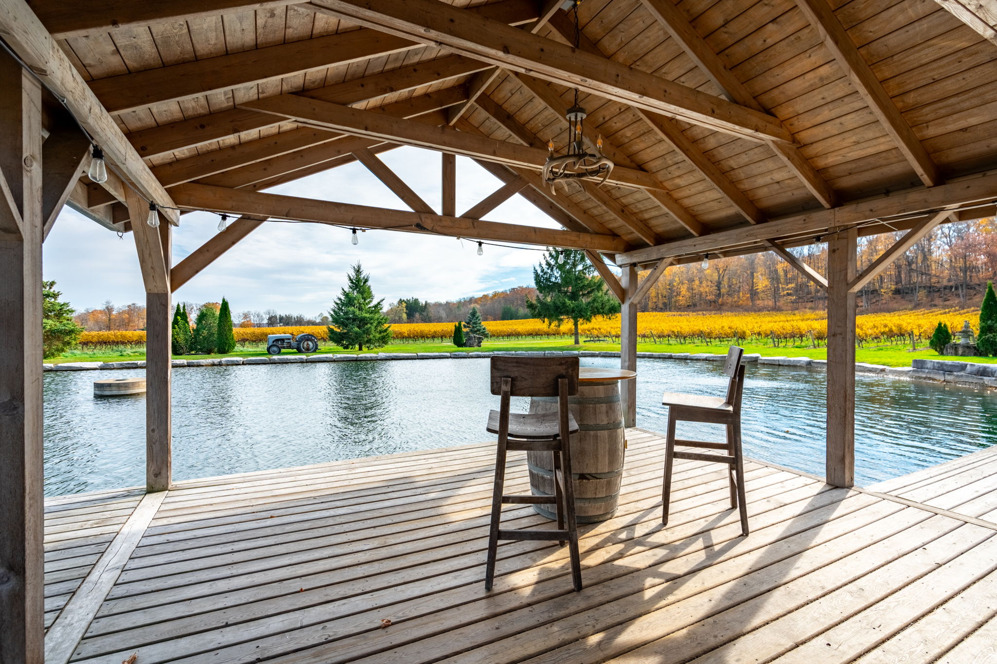 View from inside the gazebo over the pond and autumn vineyards