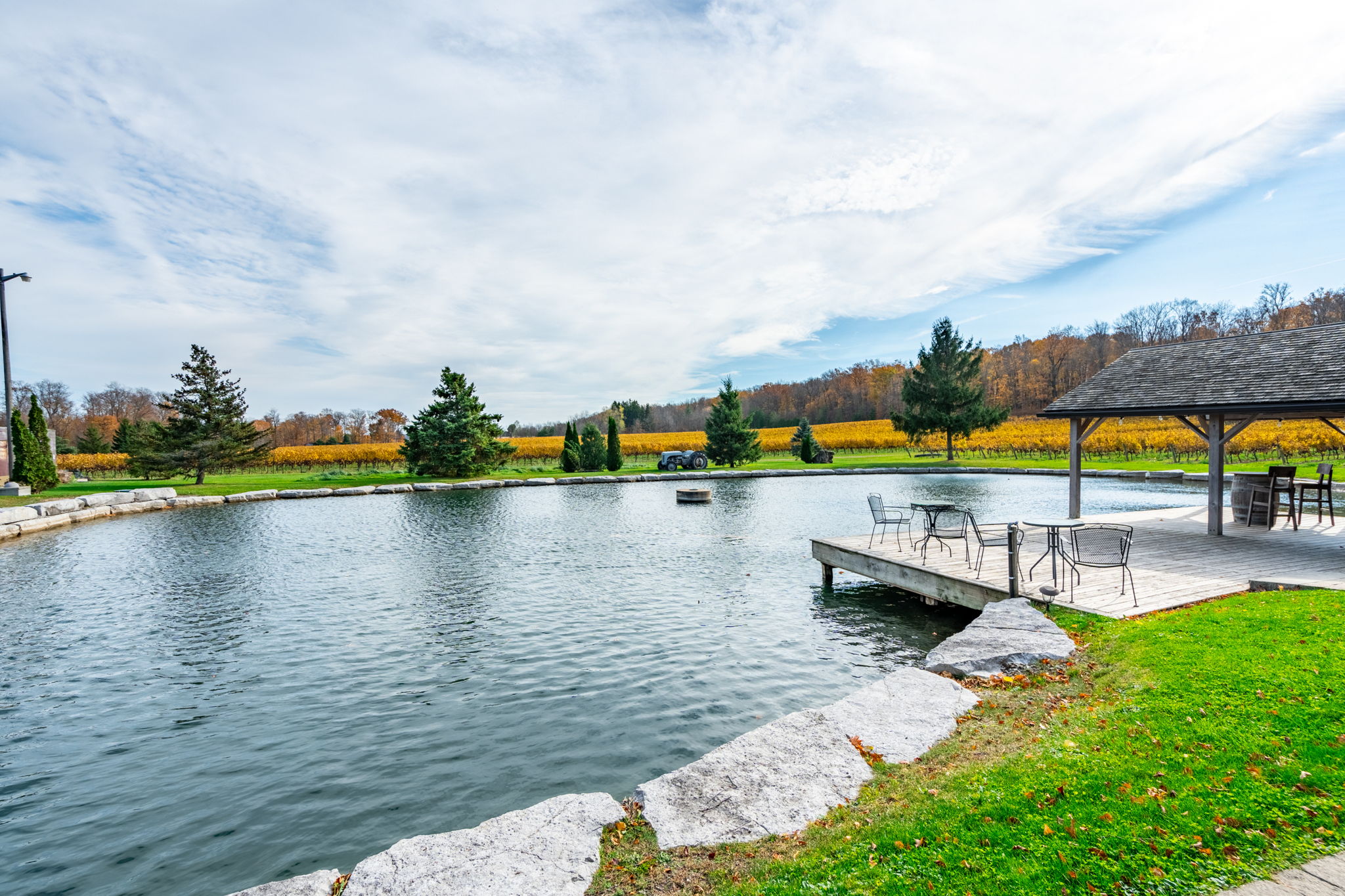 Pond and grounds