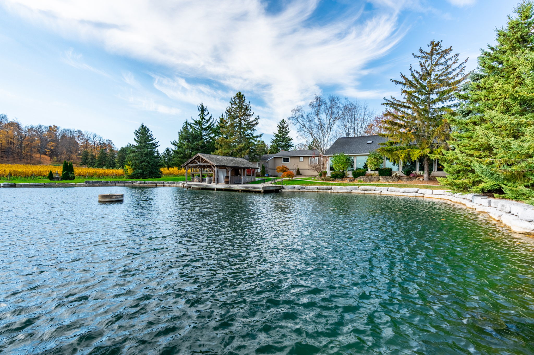 Pond and landscaping
