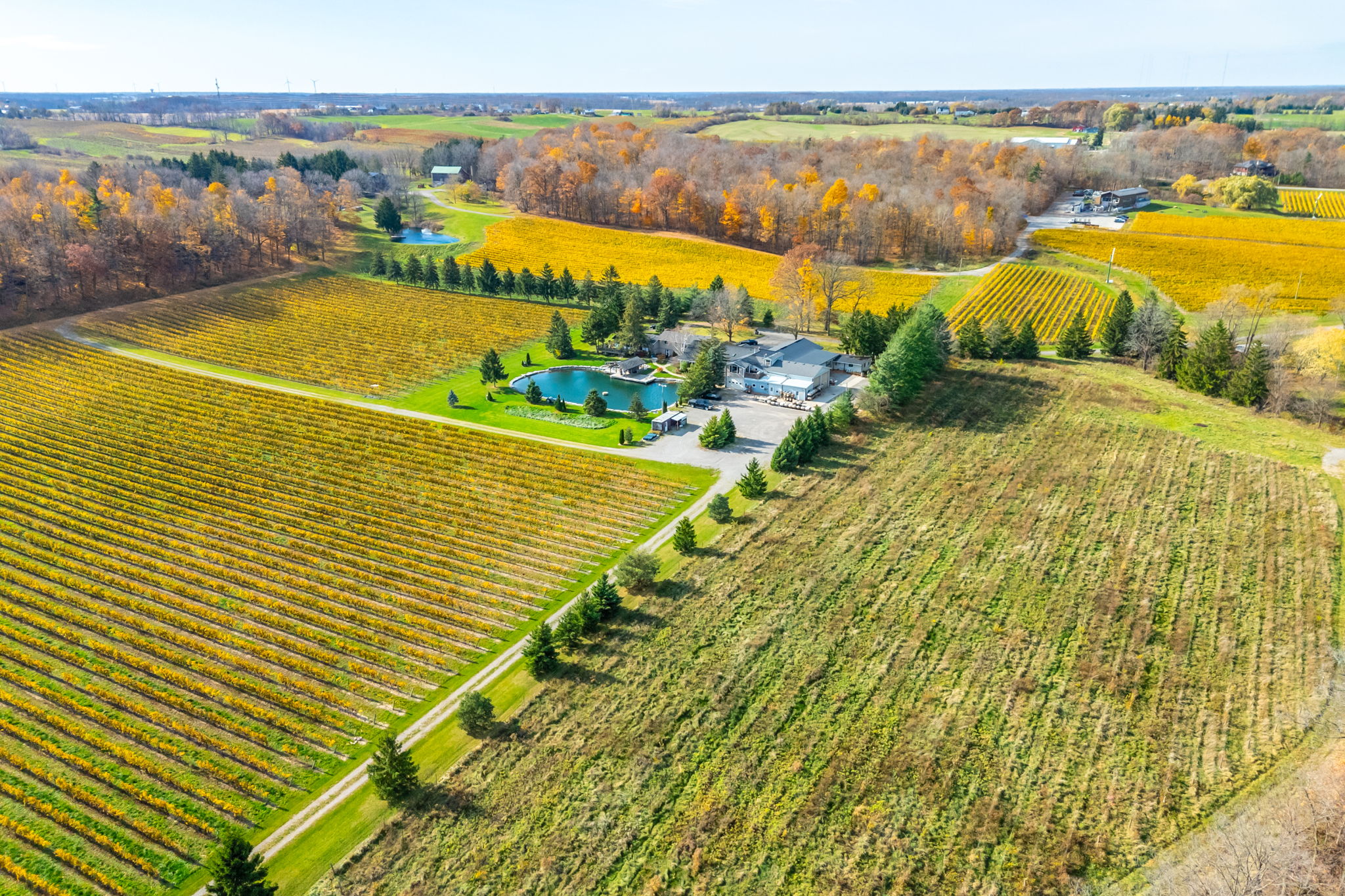 Aerial view of Walter's Vineyard surrounded by vineyards